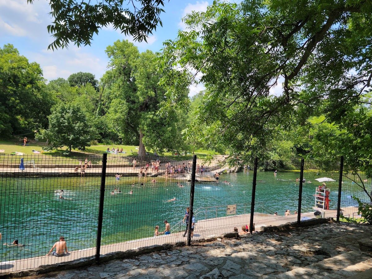 Swimmers in the clear spring-fed water of Barton Springs Pool in Zilker Park, Austin