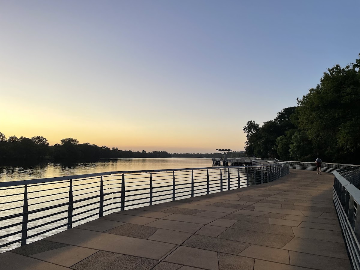 The boardwalk section of the Ann and Roy Butler Hike and Bike Trail over Lady Bird Lake in Austin